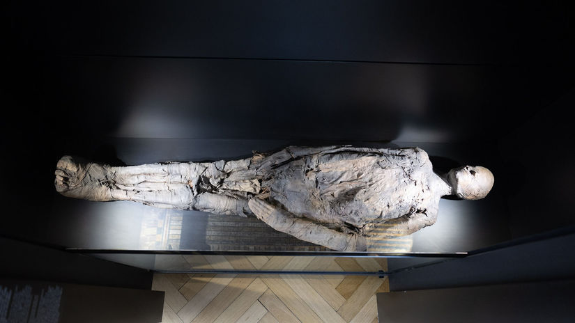 Egyptská múmia