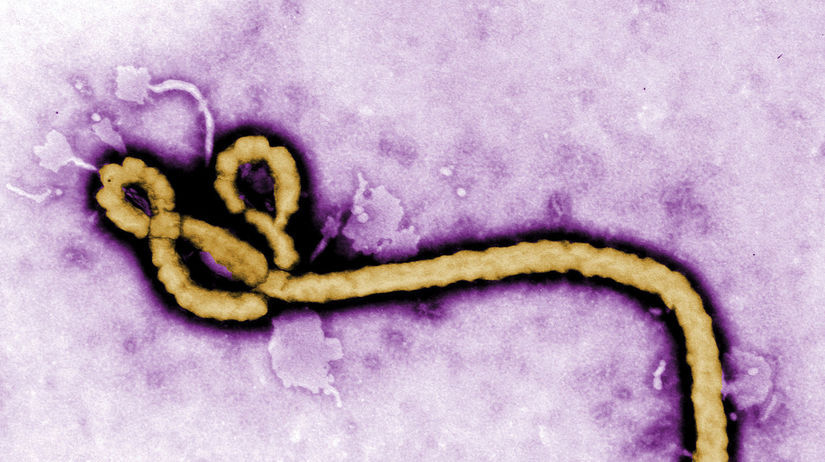 Guinea epidémie ebola