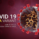 COVID 19 coronavirus Delta variant Sars ncov 2 2021. Delta plus Strain. Idia Coronavirus delta variant. B.1.617.2