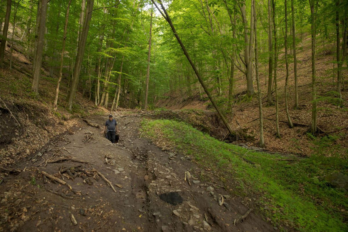 V obrovských eróznych ryhách sa stratí človek.