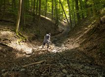lesná cesta, Rudno nad Hronom