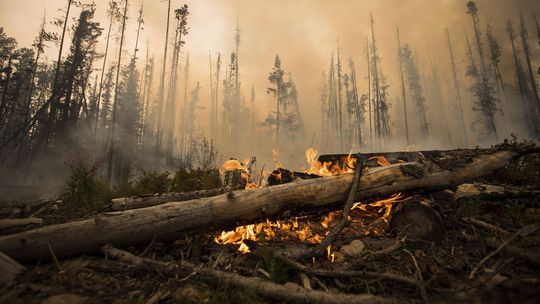 Po 50-stupňových horúčavách sužujú kanadskú dedinku požiare