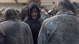 Norman Reedus, the walking dead,