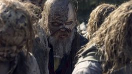 the walking dead,