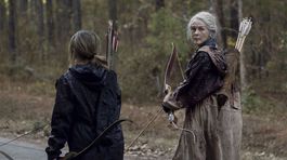 the walking dead,