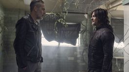 the walking dead,