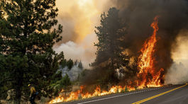 Kalifornia, požiare