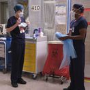 the good doctor, dobrý doktor,