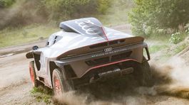 Audi RS Q e-tron Dakar Rally - 2021
