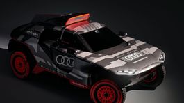 Audi RS Q e-tron Dakar Rally - 2021