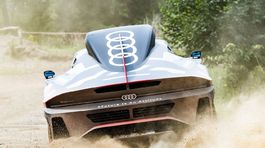 Audi RS Q e-tron Dakar Rally - 2021