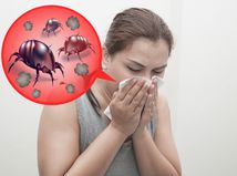 alergia, prach, roztoče, bronchiálna astma, kýchanie, vreckovka