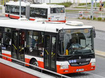 DPP, autob,  pražský autobus
