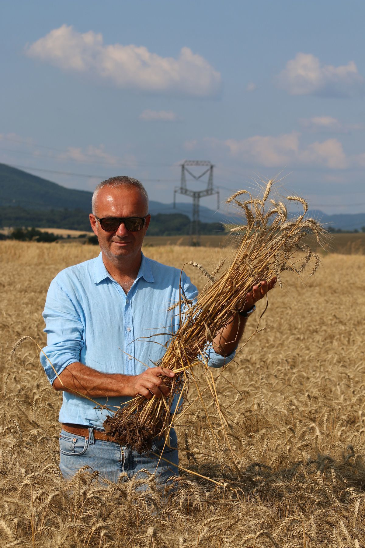 Farmár nám hrdo ukazuje trs krásnej pšenice.
