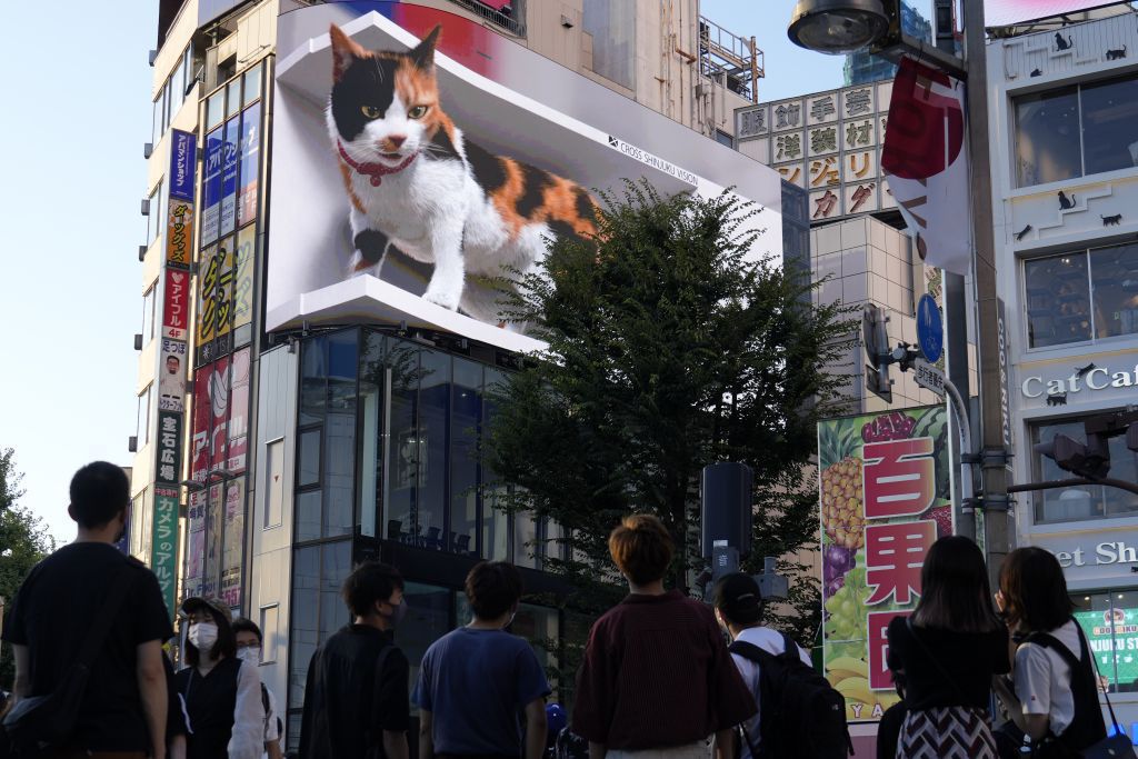Japonsko, mačka, reklama