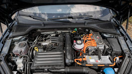Škoda Octavia RS iV - test 2021