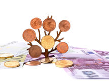 euro, peniaze, mince, bankovky, strom