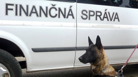 Pri kontrole auta z Ukrajiny našli náboje do brokovnice