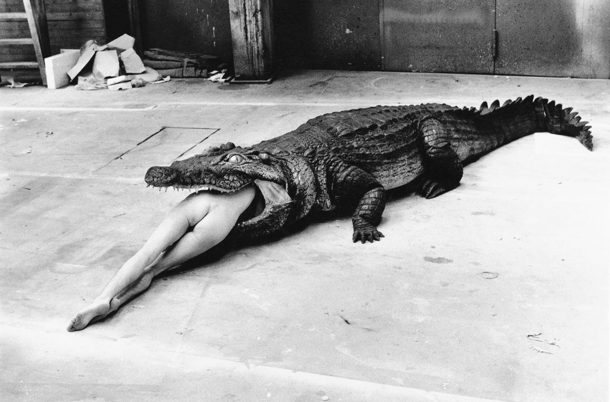 Helmut Newton: Krokodíl (1983)