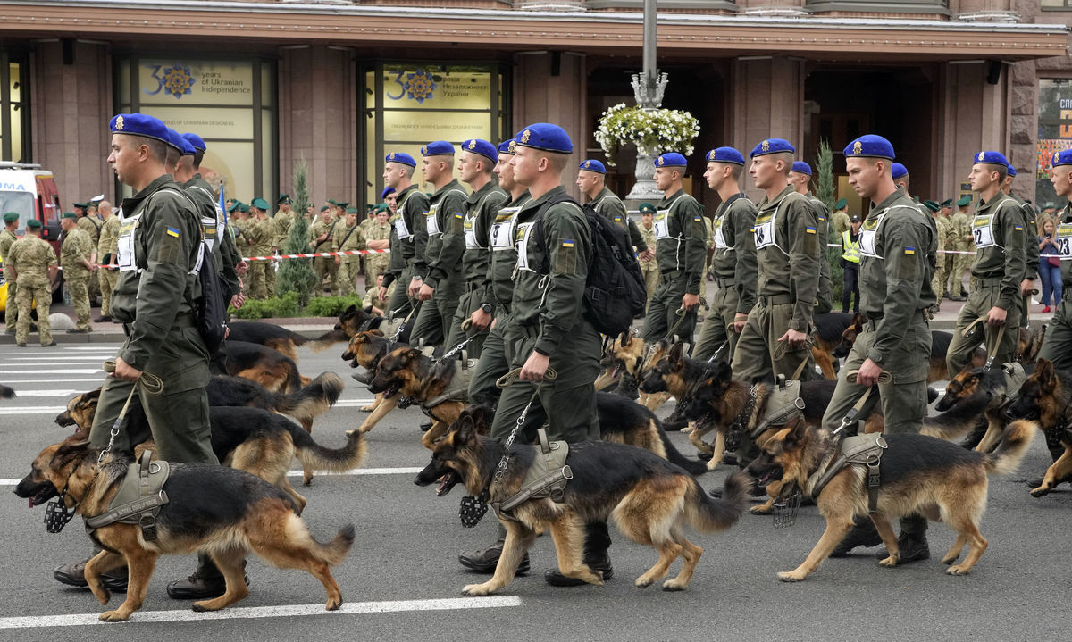 Vojenskí psovodi v Kyjeve, Ukrajina