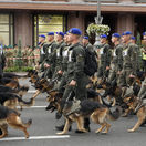 Vojenskí psovodi v Kyjeve, Ukrajina