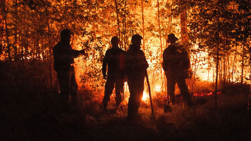 Rusko lesné požiare