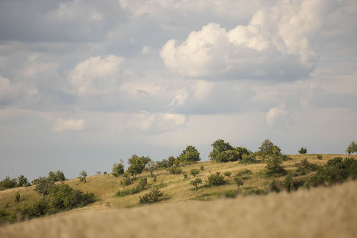 Silická planina.