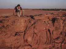 Camel Site