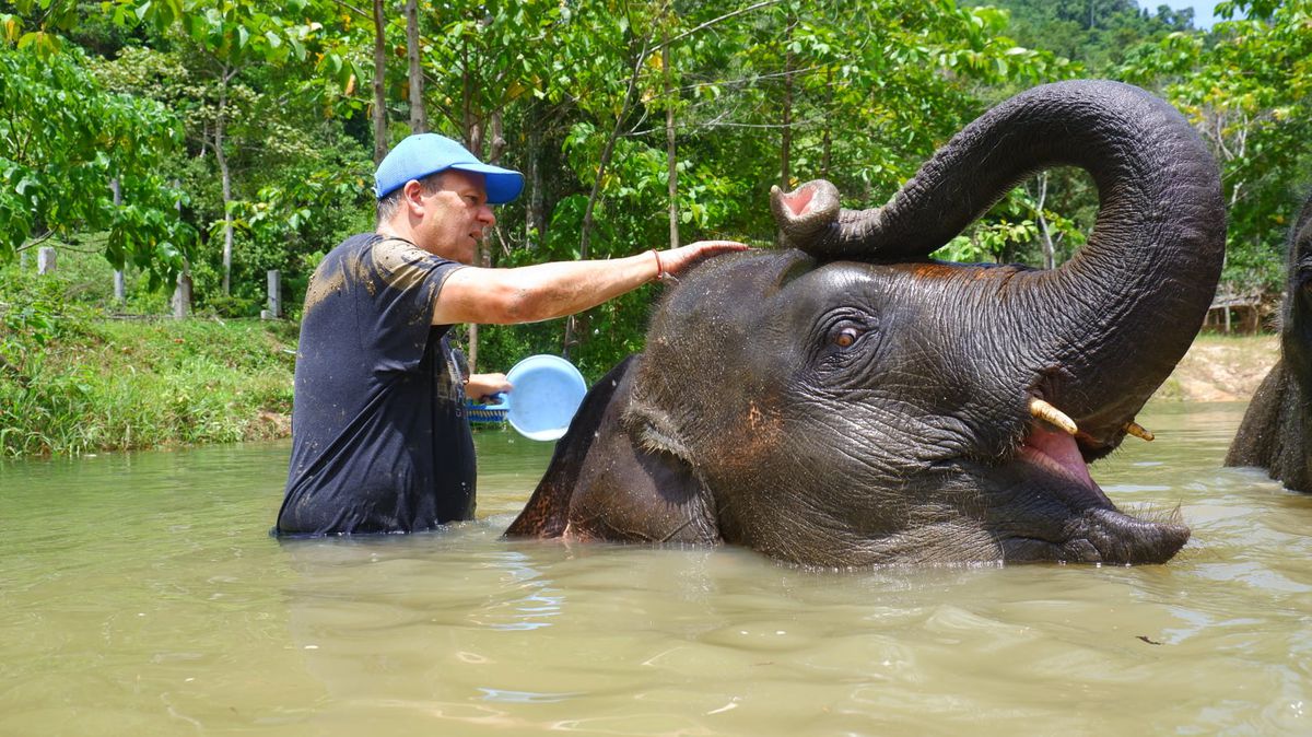 Elephant Wildlife Sanctuary Phuket 