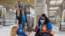 Canine Residents of Battersea Dogs and Cats Home visit their new tube station, Battersea Power Station, ahead of its opening on Monday 20th September.  The Northern Line extension is the first major