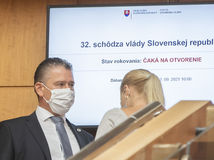 vláda mikulec