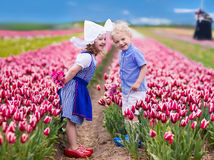 Happy Dutch children playing in blooming tulip flowers field. Boy and girl wearing traditional national costume, wooden clogs and hat play with tulips next to a windmill in Holland, Netherlands
