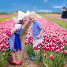 Happy Dutch children playing in blooming tulip flowers field.  Boy and girl wearing traditional national costume, wooden clogs and hat play with tulips next to a windmill in Holland, Netherlands 