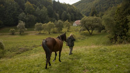 Muránska planina, kone
