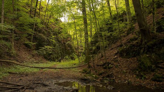 Sarkanica National Nature Reserve.