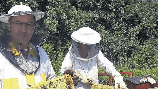Včelári žijú dlhšie. A pokojnejšie