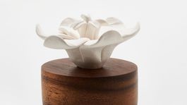 Difúzer v tvare kvetiny Natalia Willmott, predáva sa v prepočte za 32,92 eura. 