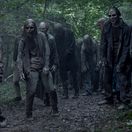 The Walking Dead, zombie, zombík,