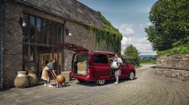 Ford Tourneo Connect (2021)