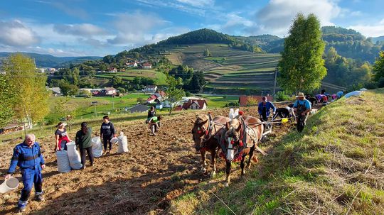 Zamestnanci Mestského úradu v Hriňovej...