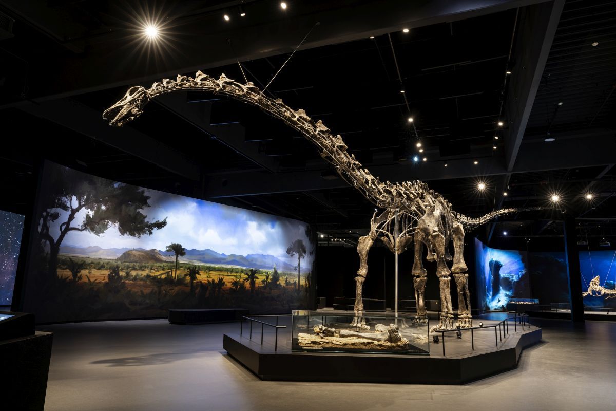 Jednou z najväčších atrakcií múzea je kostra...