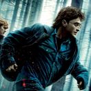 Harry Potter a Dary smrti 1-2010