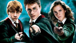 Harry Potter a Fenixov rad 2007