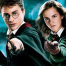 Harry Potter a Fenixov rad 2007