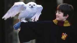 Harry Potter a Kamen mudrcov 2 2001