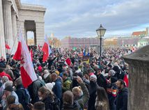 protest, Viedeň