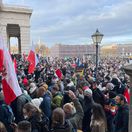protest, Viedeň