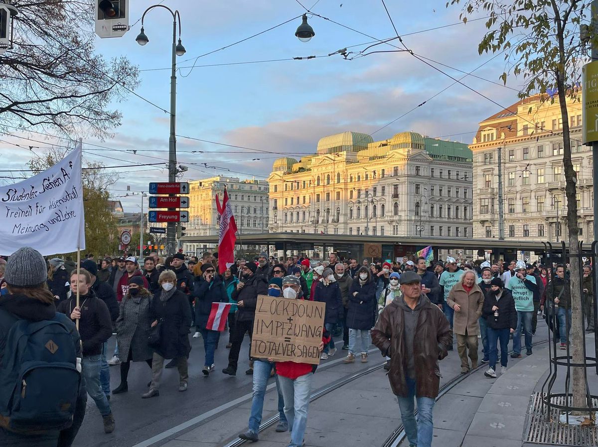 protest, Viedeň