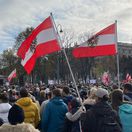 Rakúsko, protest, Viedeň