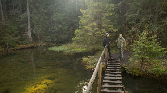 Tajch Blajzloch ponúka pohľad na nevšedné lesy.
